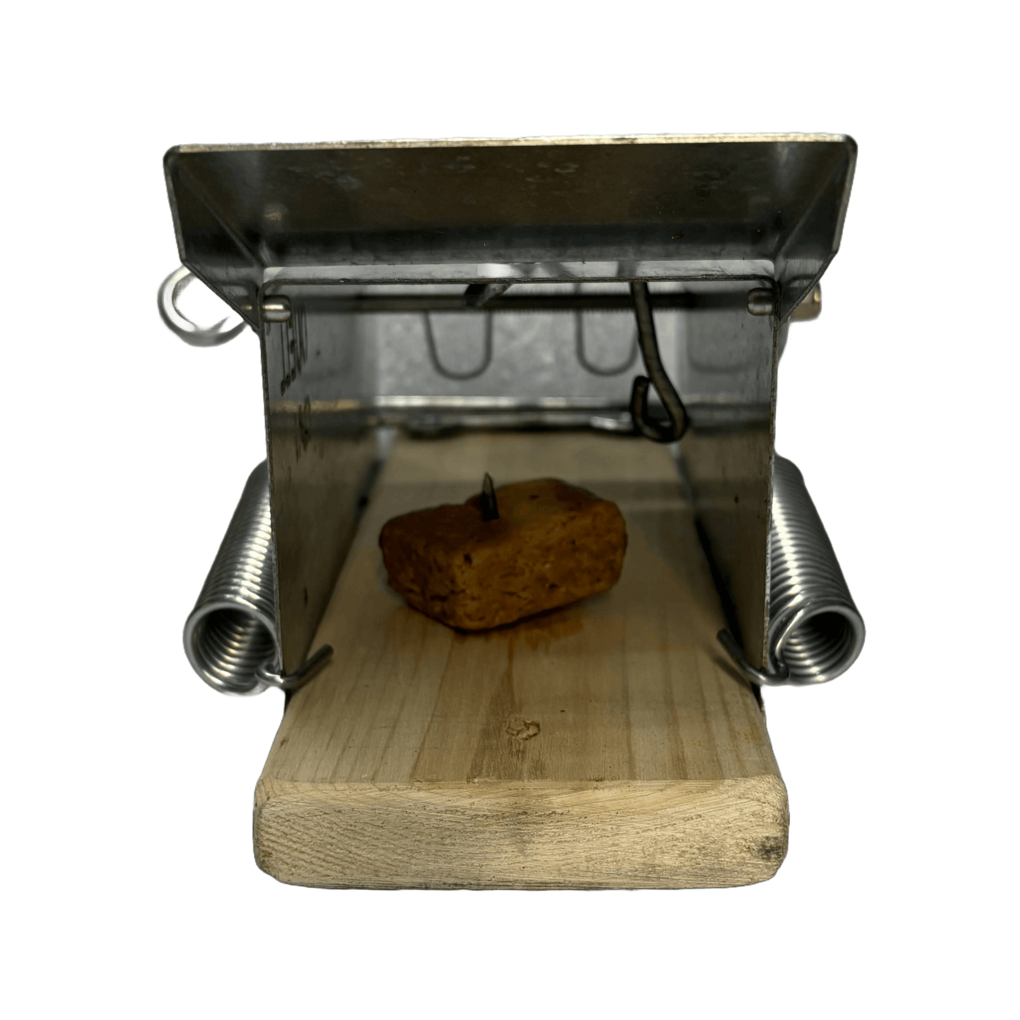 Squirrel bait – Pièges Ouell Traps