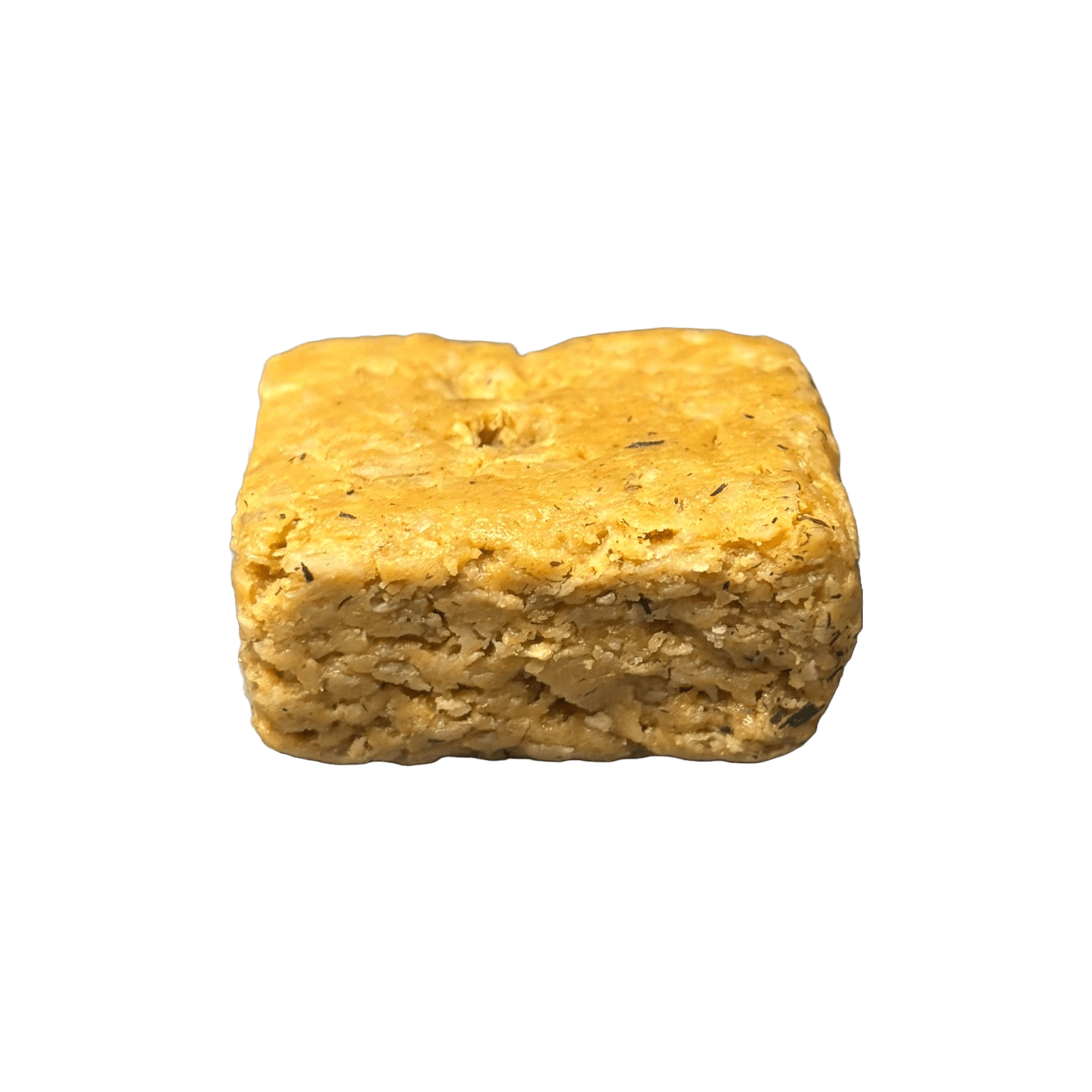 Squirrel bait – Pièges Ouell Traps